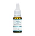 Cornaline élixir Cornaline élixir