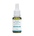 Néphéline élixir Néphéline élixir