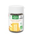Ginseng Sibérien Bio 40 gélules Ginseng Sibérien Bio 40 gélules