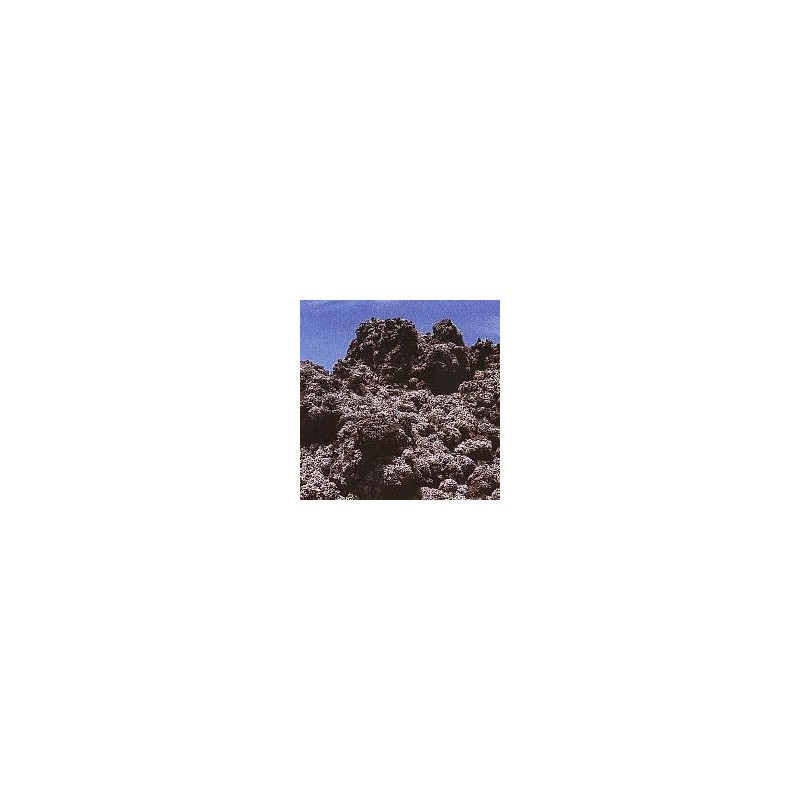 Lichen Stereocaulon Vesuvianum Lichen Stereocaulon Vesuvianum