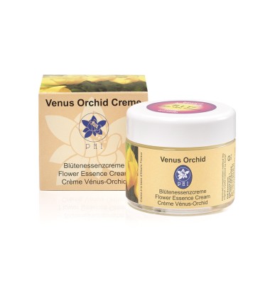 Crème Vénus Orchid