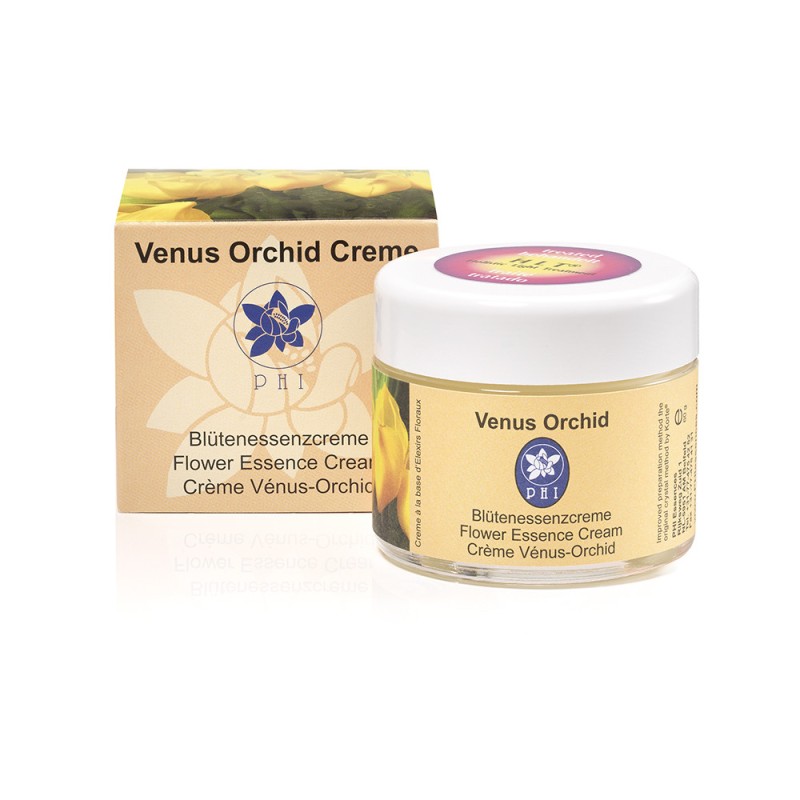 Crème Vénus Orchid