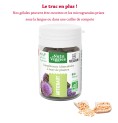 Artichaut Bio 40 gélules Artichaut Bio 40 gélules