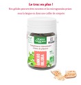 Ginkgo biloba Bio 40 gélules Ginkgo biloba Bio 40 gélules
