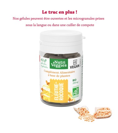 Ginseng Sibérien Bio végan. Phytothérapie. performances physiques et intellectuelles