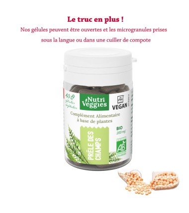 Prêle des Champs Bio végan. Phytothérapie