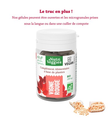 Vigne rouge Bio végan. Phytothérapie