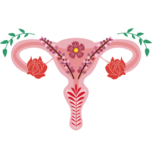 Mon Cycle Zen 30 gélules