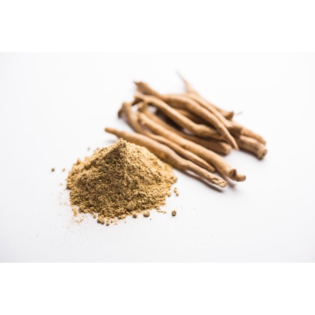 Ashwagandha Bio 40 gélules
