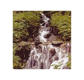 Eau de Roche/Rock Water élixir