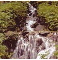 Eau de Roche/Rock Water*