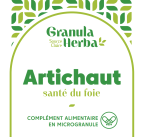 Artichaut bio vegan phyto
