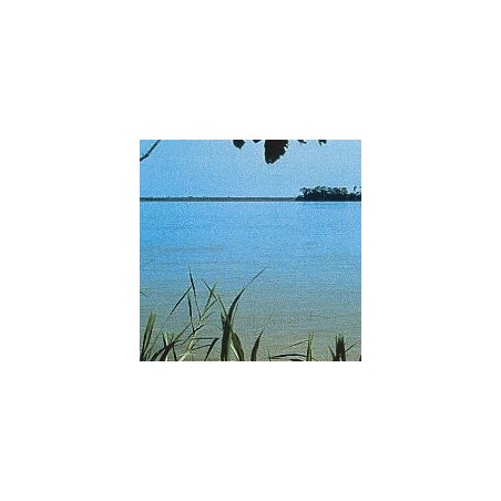 Amazonas*