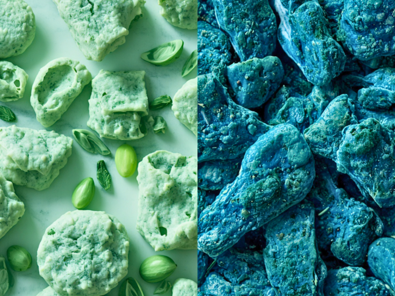 Spiruline vs phycocyanine : pourquoi vous utilisez peut-être la mauvaise forme s