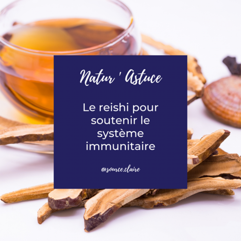 Le Reishi pour soutenir le système immunitaire