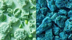 Spiruline vs phycocyanine : pourquoi vous utilisez peut-être la mauvaise forme sans le savoir
