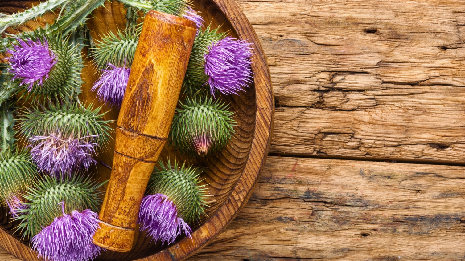 Et si votre foie avait besoin d’un reset ? Les bienfaits du Chardon-Marie.