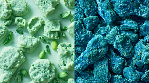 Spiruline vs phycocyanine : pourquoi vous utilisez peut-être la mauvaise forme sans le savoir