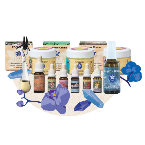  Korté PHI Essences 